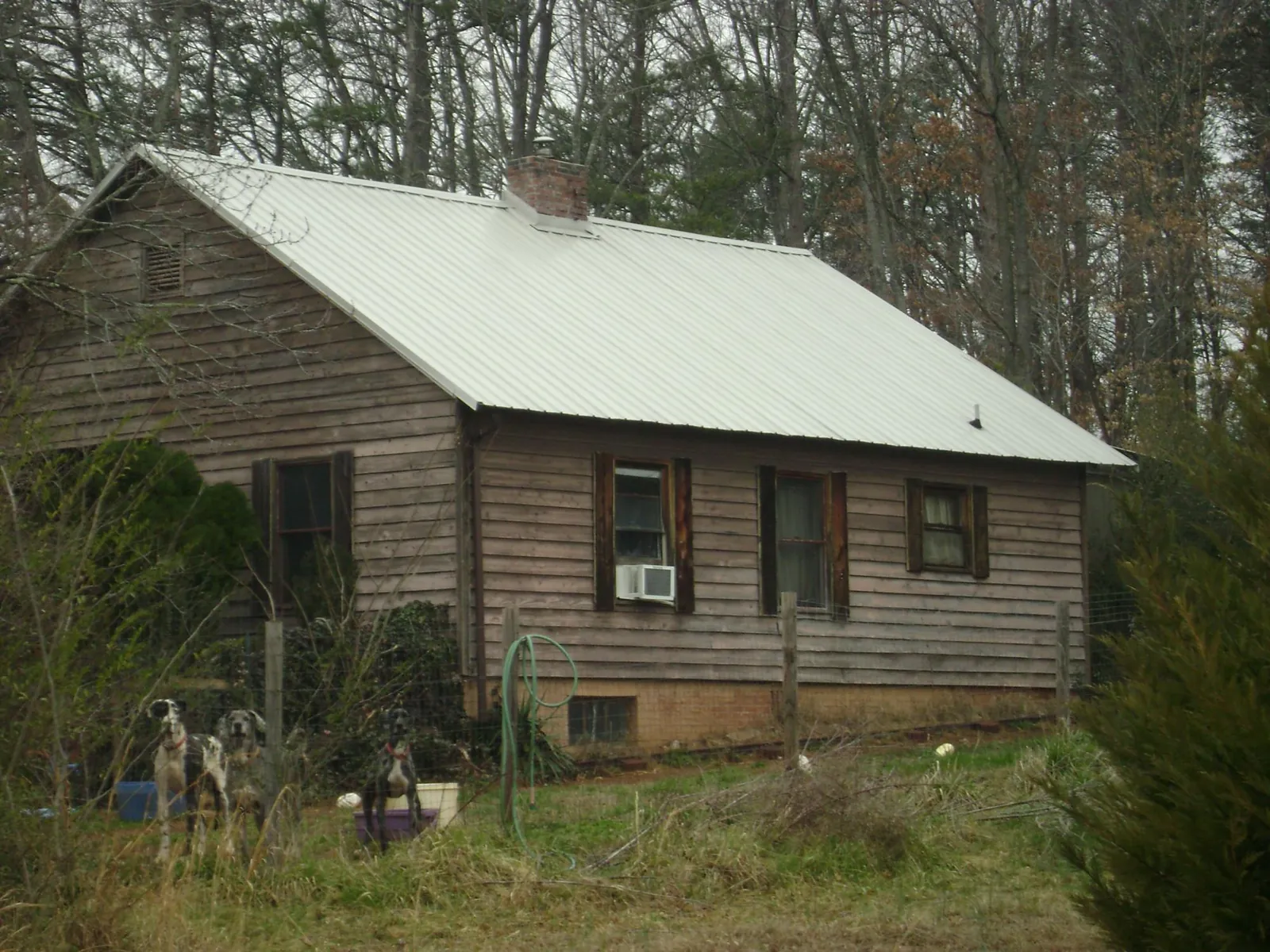 White metal roof on an old wood sided farmhouse, from a Asphalt Shingle Roof Repair job in Sonora